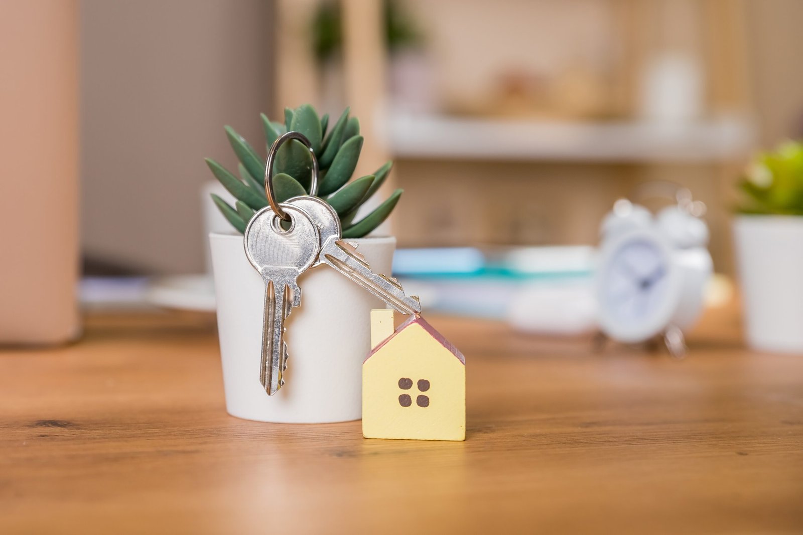 Photo annonce immobiliere - Izy Immobilier Villeneuve-d Ascq