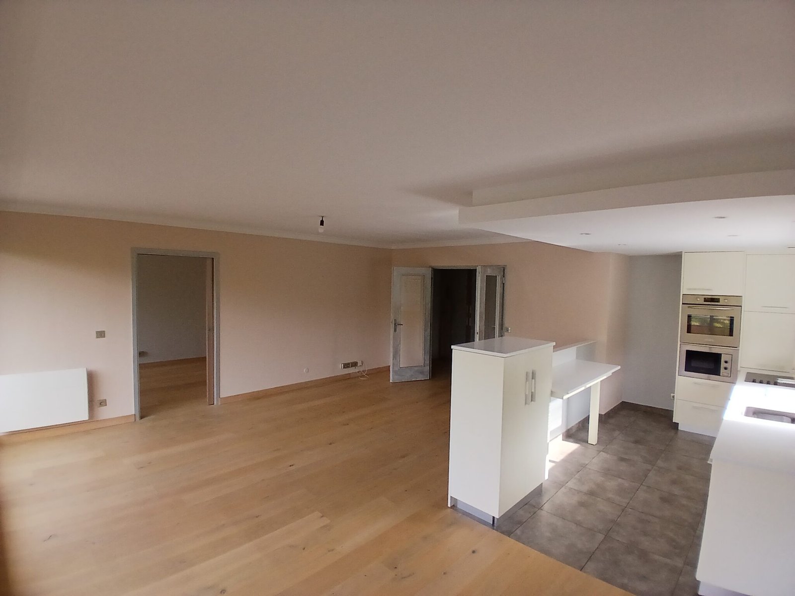 Photo annonce immobiliere - Izy Immobilier Villeneuve-d Ascq