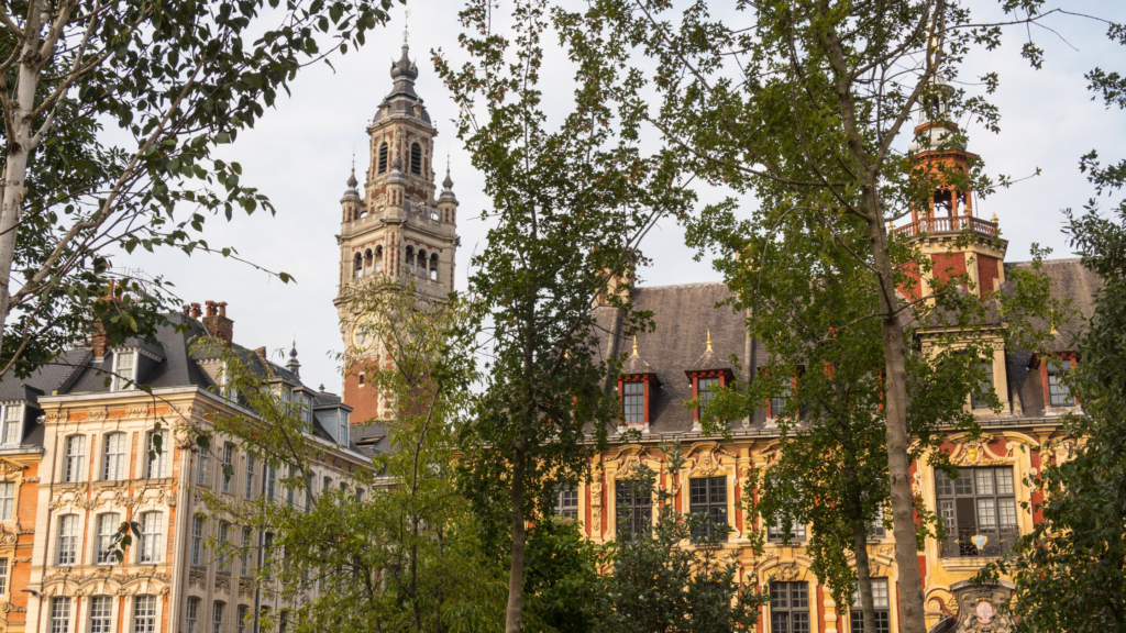 Quartier Lille, cadre de vie familial et espaces verts, marché et vie de quartier, immobilier dynamique.